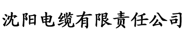 免费无码国产永久入口电缆厂logo